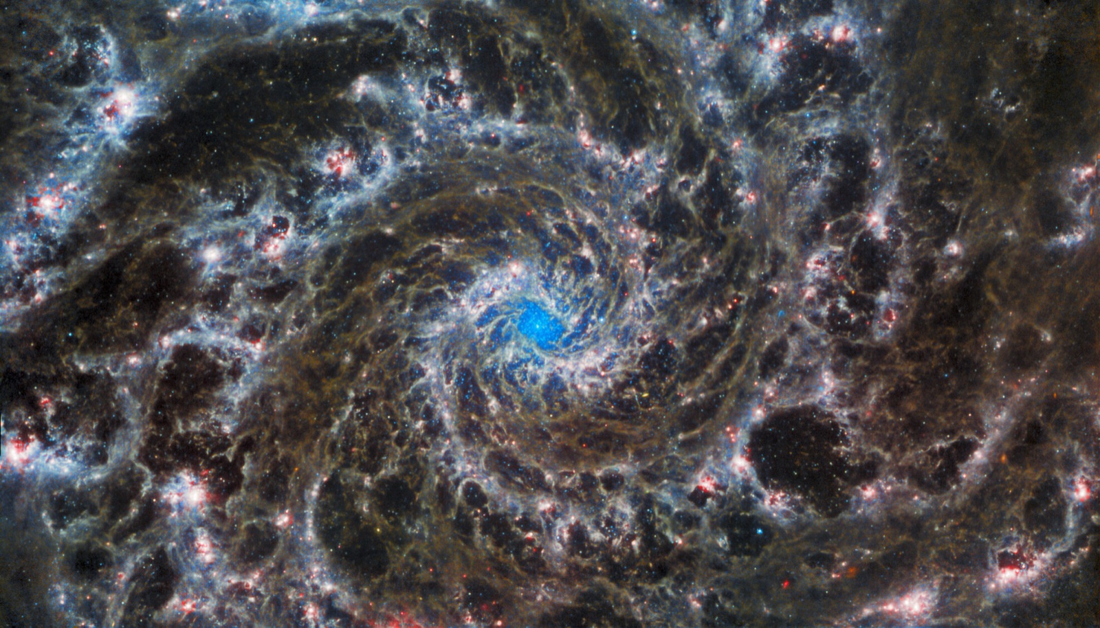 Spiral galaxy M74
